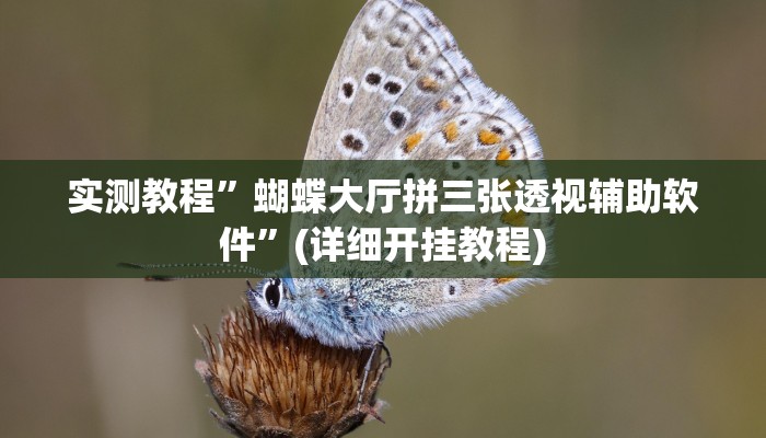 实测辅助”乐酷大厅开挂透视辅助软件”其实确实有挂
