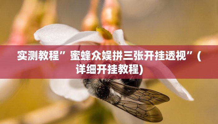 实测教程”阳光岛牌乐汇开挂怎么使用的”(详细开挂教程)