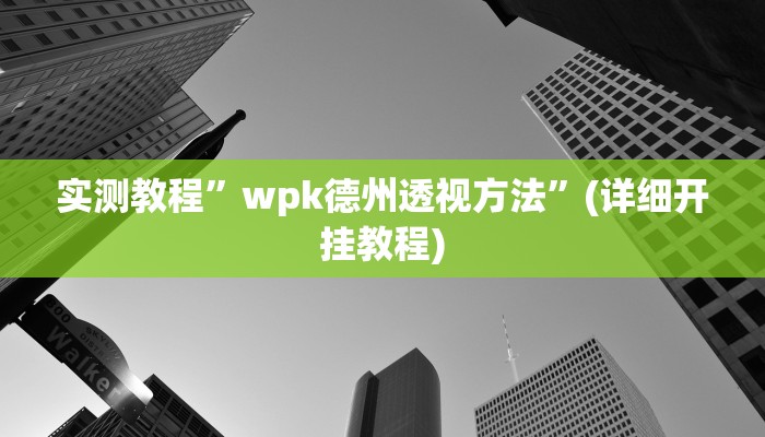 实测教程”wpk德州透视方法”(详细开挂教程)