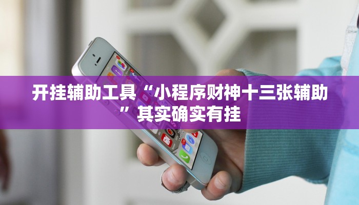 开挂辅助工具“小程序财神十三张辅助”其实确实有挂