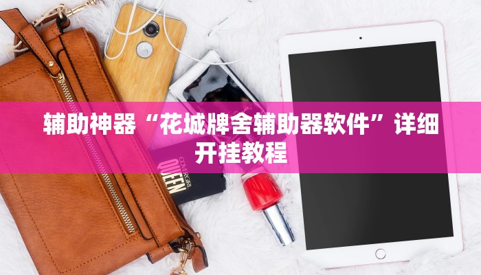 辅助神器“花城牌舍辅助器软件”详细开挂教程