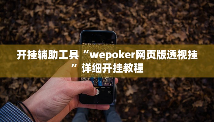 开挂辅助工具“wepoker网页版透视挂”详细开挂教程