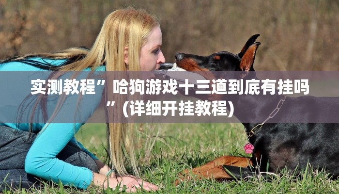 实测教程”哈狗游戏十三道到底有挂吗”(详细开挂教程)