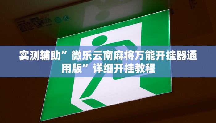 开挂辅助工具“WePoKer透视软件挂”其实确实有挂