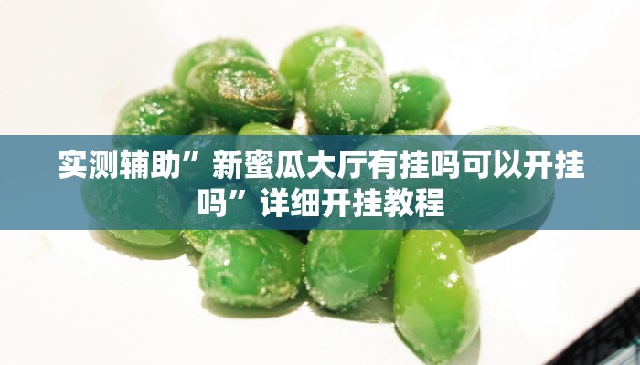 实测教程”wepoker轻量版作弊挂开挂软件”(详细开挂教程)