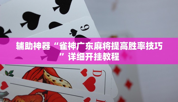 辅助神器“雀神广东麻将提高胜率技巧”详细开挂教程