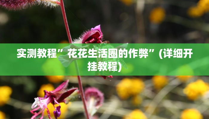 实测教程”手机棋牌可以开挂吗”(详细开挂教程)