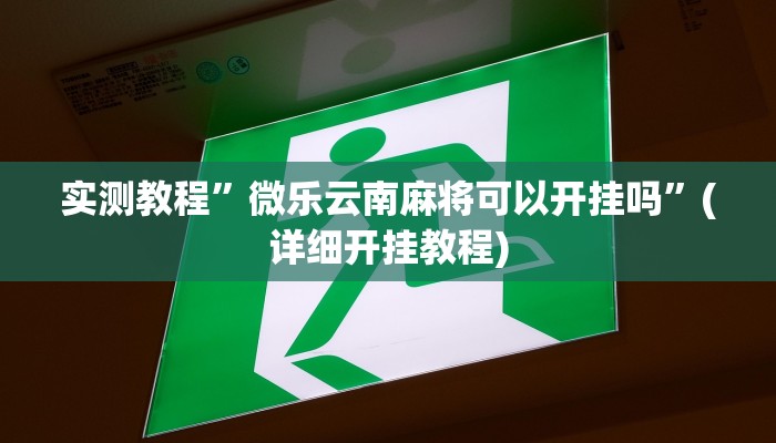 实测教程”德扑之星开挂辅助作弊”(详细开挂教程)