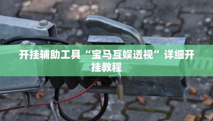 辅助神器“决胜奕福麻将到底有没有挂”详细开挂教程