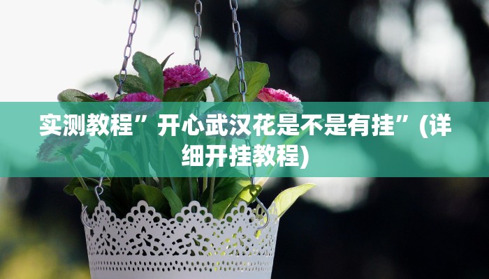 实测教程”开心武汉花是不是有挂”(详细开挂教程)