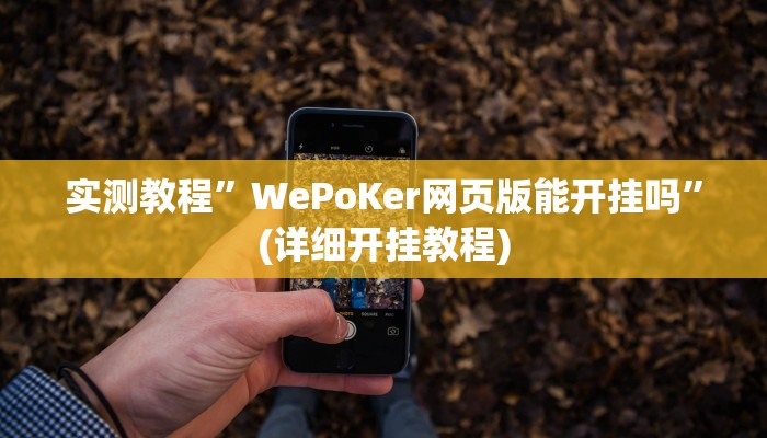 实测教程”WePoKer网页版能开挂吗”(详细开挂教程)