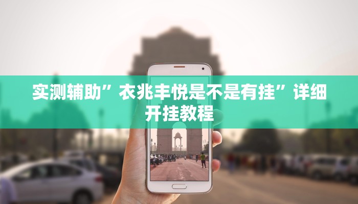 实测辅助”衣兆丰悦是不是有挂”详细开挂教程