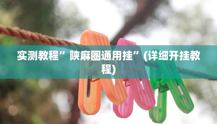 实测教程”陕麻圈通用挂”(详细开挂教程)