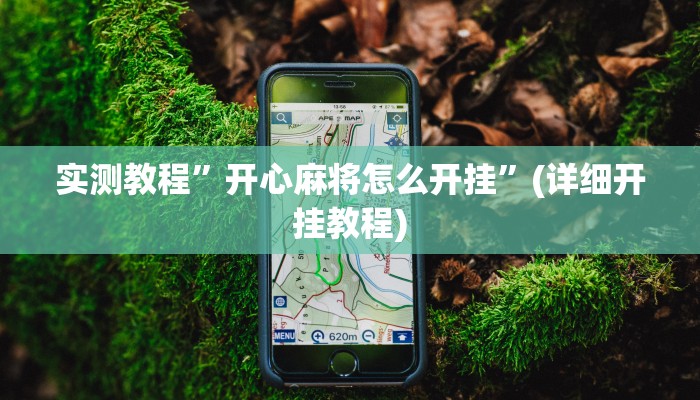 教程辅助!“凯旋二八杠能不能开透视挂”原来真可以开挂