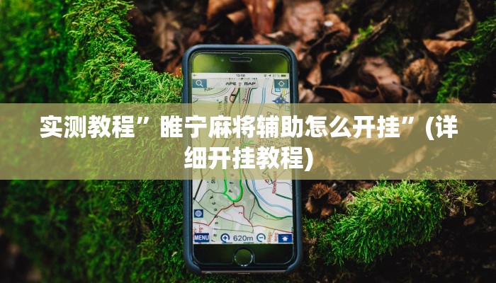 实测教程”睢宁麻将辅助怎么开挂”(详细开挂教程)