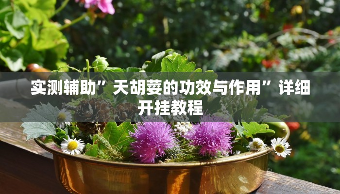 实测辅助”大唐山西麻将怎么开挂”其实确实有挂