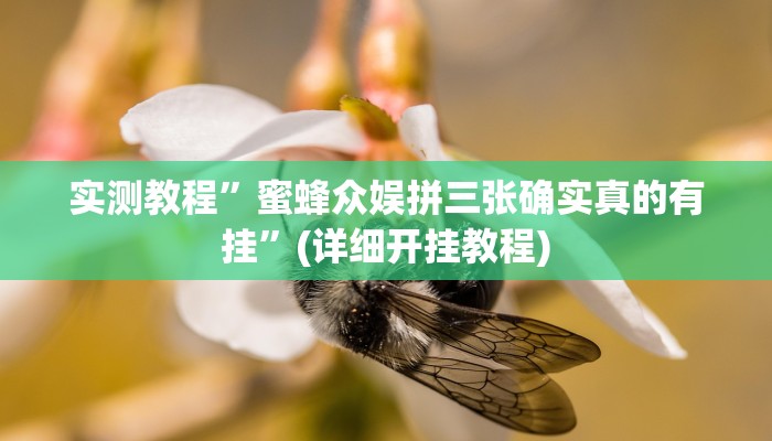 实测教程”胡乐麻将开挂现场安装”(详细开挂教程)
