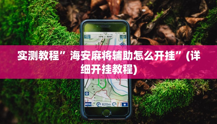 推荐一款“摸一把跑得快有没有透视挂”原来真可以开挂