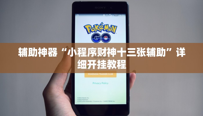辅助神器“小程序财神十三张辅助”详细开挂教程