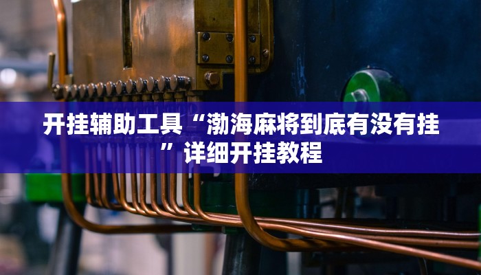 推荐一款“天天爱二十三张辅助器”原来真可以开挂