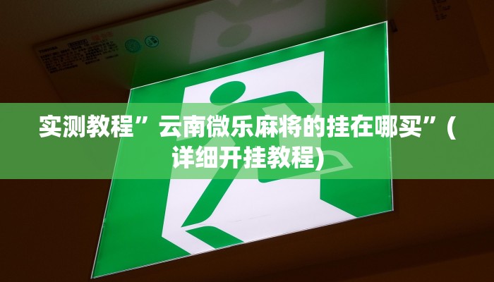 实测辅助”518葫芦岛麻将有没有挂”详细开挂教程