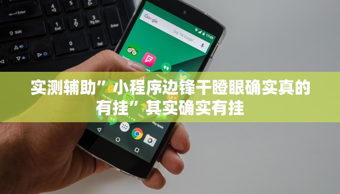 实测辅助”小程序边锋干瞪眼确实真的有挂”其实确实有挂