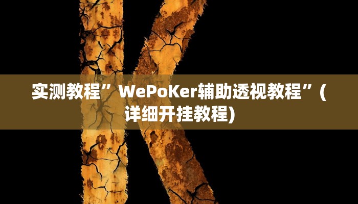 实测教程”WePoKer辅助透视教程”(详细开挂教程)