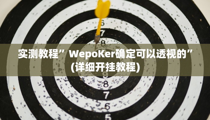 辅助神器“星空娱乐透视挂教程”详细开挂教程
