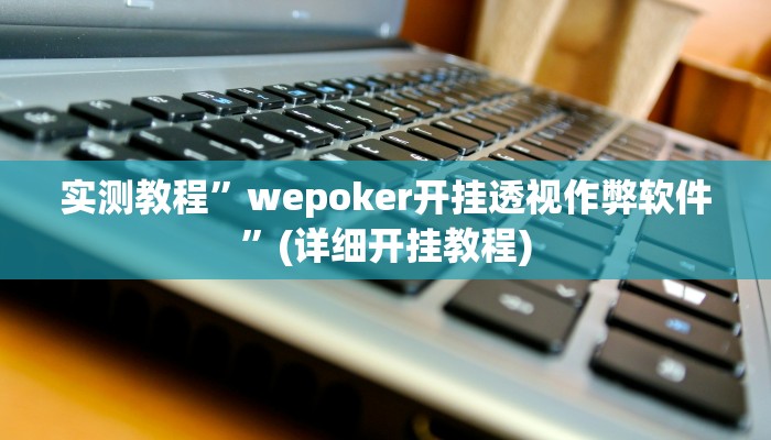 实测教程”wepoker开挂透视作弊软件”(详细开挂教程)