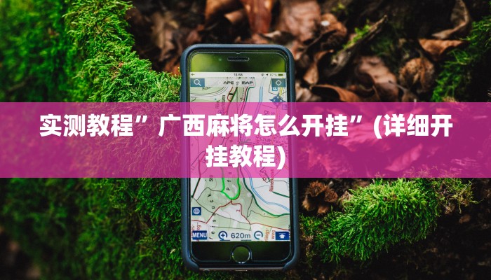 推荐一款“同城游牛鬼辅助软件下载”其实确实有挂