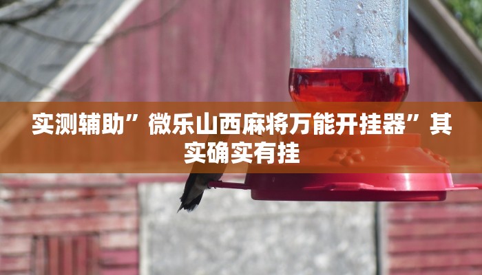 实测教程”德扑之星辅助透视挂”(详细开挂教程)