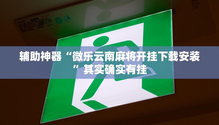 实测教程”hhpoker透视挂辅助”(详细开挂教程)