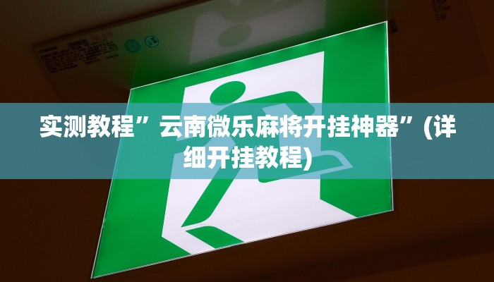 实测教程”wepoker德州透视挂辅助软件”(详细开挂教程)