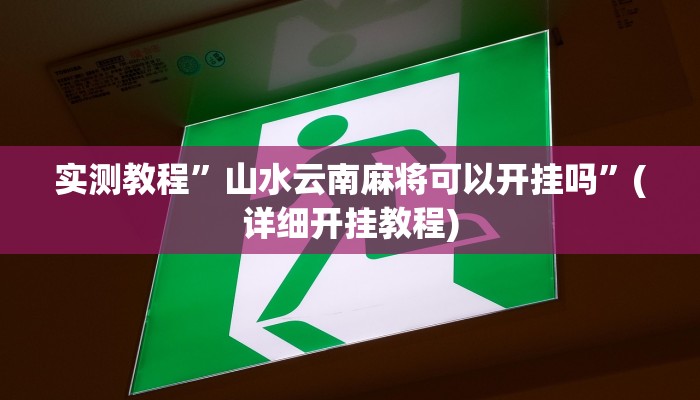 实测教程”程闲逸跑得快透视挂”(详细开挂教程)
