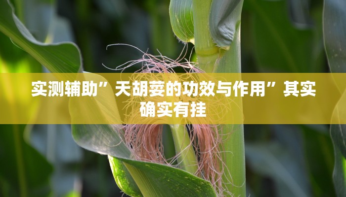 推荐一款“手机棋牌开挂神器”原来真可以开挂