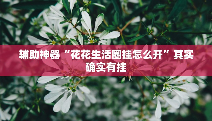 实测教程”新九神开挂查询”(详细开挂教程)