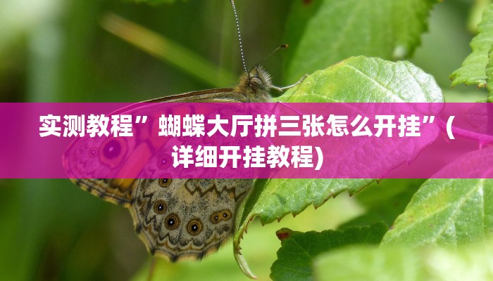 实测教程”情怀麻将开挂神器下载”(详细开挂教程)