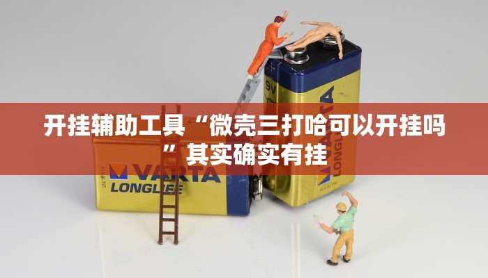 教程辅助!“陕麻圈辅助器安装”其实确实有挂