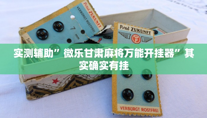 开挂辅助工具“北方家乡游戏辅助器免费版”详细开挂教程