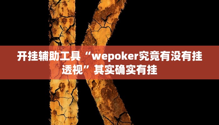 辅助神器“点点长牌开挂辅助”其实确实有挂