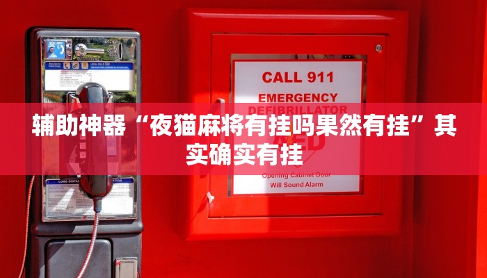 实测教程”老乡互娱如何开挂辅助”(详细开挂教程)