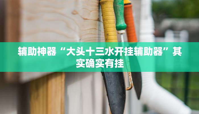 推荐一款“开心十三张开挂神器”其实确实有挂