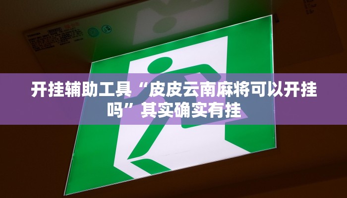 实测教程”莫莫棋牌开挂控制好牌器”(详细开挂教程)