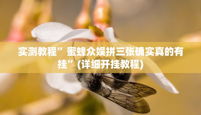 实测教程”新果汁大厅拼三张开挂神器软件下载”(详细开挂教程)