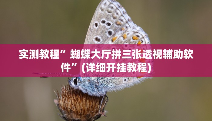 实测教程”游宝内蒙麻将辅助开挂”(详细开挂教程)