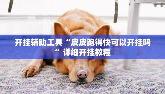 推荐一款“叉叉欢乐拼三张透视辅助”原来真可以开挂