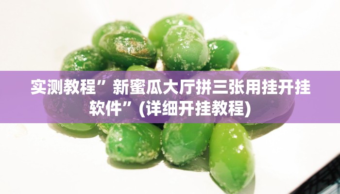 实测教程”嗨玩娱乐麻将有挂吗”(详细开挂教程)