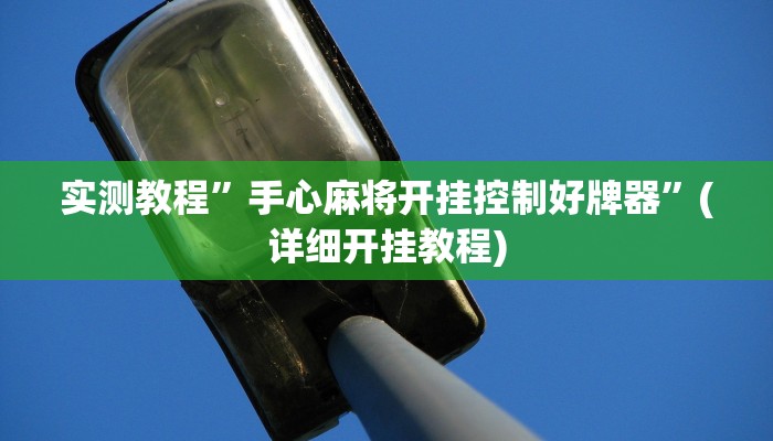 实测教程”瓜瓜丰城棋牌开挂怎么买”(详细开挂教程)