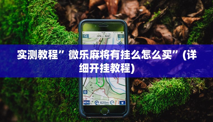实测教程”大圣大厅可以开挂作弊”(详细开挂教程)