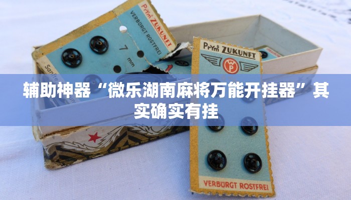 实测教程”WePoKer辅助器通用版”(详细开挂教程)